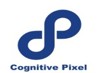 Cognitive Pixel